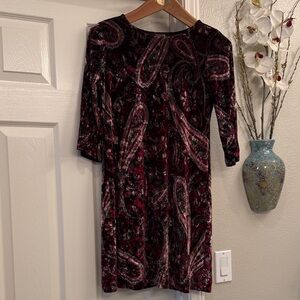Renee C Elegant Paisley Velvet Dress